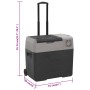 Nevera con ruedas y asa polipropileno negro y gris 50 L de vidaXL, Neveras - Ref: Foro24-51783, Precio: 305,88 €, Descuento: %