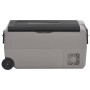 Nevera con ruedas y asa PP Y PE negro y gris 50 L de vidaXL, Neveras - Ref: Foro24-51785, Precio: 421,75 €, Descuento: %
