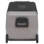 Nevera con ruedas y asa PP Y PE negro y gris 60 L de vidaXL, Neveras - Ref: Foro24-51786, Precio: 519,17 €, Descuento: %