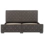 Estructura de cama de terciopelo gris 160x200 cm de vidaXL, Camas y somieres - Ref: Foro24-286833, Precio: 379,60 €, Descuent...