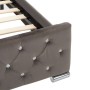 Estructura de cama de terciopelo gris 160x200 cm de vidaXL, Camas y somieres - Ref: Foro24-286833, Precio: 379,60 €, Descuent...