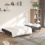 Sofá cama de 2 plazas tela gris oscuro en Sofás | Comprar online en Foru.es