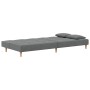 Sofá cama de 2 plazas con dos almohadas tela gris oscuro en Sofás | Comprar online en Foru.es