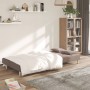Sofá cama de 2 plazas con dos almohadas tela gris taupe en Sofás | Comprar online en Foru.es