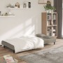 Sofá cama de 2 plazas con dos almohadas terciopelo gris claro en Sofás | Comprar online en Foru.es