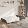 Sofá cama de 2 plazas con dos almohadas terciopelo gris oscuro en Sofás | Comprar online en Foru.es
