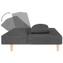 Sofá cama de 2 plazas con dos almohadas tela gris oscuro en Sofás | Comprar online en Foru.es