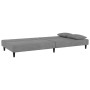 Sofá cama de 2 plazas con dos almohadas terciopelo gris claro en Sofás | Comprar online en Foru.es