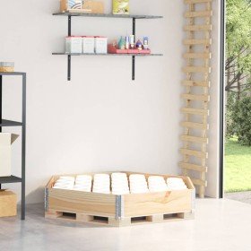 Arriate elevado hexagonal madera maciza de pino 160x160 cm en Macetas y jardineras | Comprar online en Foru.es