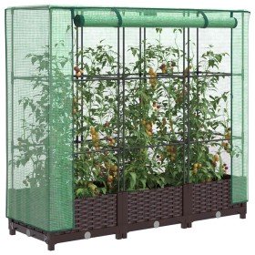 Arriate con cubierta invernadero aspecto ratán 120x40x123 cm en Macetas y jardineras | Comprar online en Foru.es
