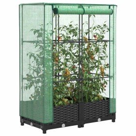Arriate con cubierta invernadero aspecto ratán 80x40x123 cm en Macetas y jardineras | Comprar online en Foru.es