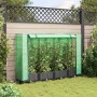 Jardinera elevada con cubierta de invernadero aspecto ratán 160x40x123 cm en Macetas y jardineras | Comprar online en Foru.es