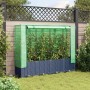 Jardinera elevada con cubierta de invernadero aspecto ratán 160x40x138 cm en Macetas y jardineras | Comprar online en Foru.es