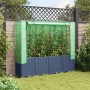 Jardinera elevada con cubierta de invernadero aspecto ratán 160x40x153 cm en Macetas y jardineras | Comprar online en Foru.es