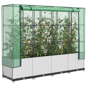 Arriate con cubierta invernadero aspecto ratán 160x40x138 cm en Macetas y jardineras | Comprar online en Foru.es