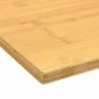Tablero de escritorio de bambú 100x50x1,5 cm de vidaXL, Accesorios y productos para escritorios - Ref: Foro24-352737, Precio:...