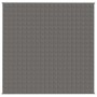 Manta con peso tela gris 200x200 cm 13 kg de vidaXL, Mantas - Ref: Foro24-350779, Precio: 74,64 €, Descuento: %