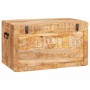 Caja de Almacenamiento con puerta Marrón Madera de mango maciza en Baúles de almacenamiento | Comprar online en Foru.es
