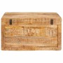 Caja de Almacenamiento con puerta Marrón Madera de mango maciza en Baúles de almacenamiento | Comprar online en Foru.es