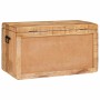 Caja de Almacenamiento con puerta Marrón Madera de mango maciza en Baúles de almacenamiento | Comprar online en Foru.es