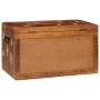 Caja de Almacenamiento con puerta Marrón Madera de mango maciza en Baúles de almacenamiento | Comprar online en Foru.es