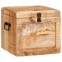 Caja de Almacenamiento con puerta Marrón Madera de mango maciza en Baúles de almacenamiento | Comprar online en Foru.es