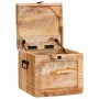 Caja de Almacenamiento con puerta Marrón Madera de mango maciza en Baúles de almacenamiento | Comprar online en Foru.es