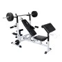 Banco de musculación múltiple de vidaXL, Máquinas de levantamiento de pesas - Ref: Foro24-90365, Precio: 251,06 €, Descuento: %