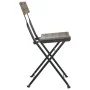 Sillas cafetería plegables 2 uds acero y ratán sintético gris de vidaXL, Sillas de jardín - Ref: Foro24-319988, Precio: 76,31...
