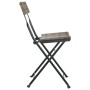 Sillas cafetería plegables 2 uds acero y ratán sintético gris de vidaXL, Sillas de jardín - Ref: Foro24-319988, Precio: 77,42...