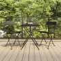 Sillas cafetería plegables 2 uds acero y ratán sintético negro de vidaXL, Sillas de jardín - Ref: Foro24-319986, Precio: 81,4...