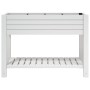 Jardinera alta polipropileno blanco 110x45x79 cm de vidaXL, Maceteros y jardineras - Ref: Foro24-364177, Precio: 190,39 €, De...