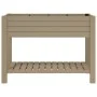Jardinera alta polipropileno marrón claro 110x45x79 cm de vidaXL, Maceteros y jardineras - Ref: Foro24-364176, Precio: 176,91...