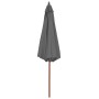 Sombrilla de jardín con palo de madera 300 cm antracita de vidaXL, Sombrillas - Ref: Foro24-44495, Precio: 83,50 €, Descuento: %