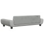 Cama para perros de terciopelo gris claro 100x54x33 cm de vidaXL, Camas para perros - Ref: Foro24-171982, Precio: 111,14 €, D...