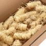 Encendedores BIO 10 kg de vidaXL, Accesorios para barbacoas - Ref: Foro24-151345, Precio: 69,55 €, Descuento: %