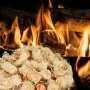 Encendedores BIO 20 kg de vidaXL, Accesorios para barbacoas - Ref: Foro24-151347, Precio: 124,80 €, Descuento: %