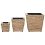Conjunto de arriates 3 piezas jacinto de agua de vidaXL, Maceteros y jardineras - Ref: Foro24-45571, Precio: 74,09 €, Descuen...