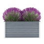 Arriate de jardín de acero galvanizado gris 100x40x45 cm de vidaXL, Maceteros y jardineras - Ref: Foro24-44854, Precio: 41,48...
