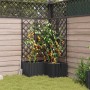 Macetero de Jardín 3 pcs Negro 80 x 80 x 143 cm Acero en Macetas y jardineras | Comprar online en Foru.es