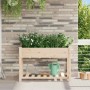 Macetero de Jardín con estante Beige 115 x 59 x 76,5 cm en Macetas y jardineras | Comprar online en Foru.es