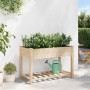 Macetero de Jardín con estante Beige 115 x 59 x 76,5 cm en Macetas y jardineras | Comprar online en Foru.es