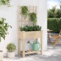Macetero de Jardín Beige 71 x 38 x 152 cm Madera de Pino Sólido en Macetas y jardineras | Comprar online en Foru.es