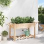 Macetero de Jardín con estante Beige 155 x 59 x 76,5 cm en Macetas y jardineras | Comprar online en Foru.es
