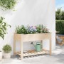 Macetero de Jardín con estante Beige 115 x 59 x 76,5 cm en Macetas y jardineras | Comprar online en Foru.es
