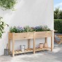 Macetero de Jardín con estante Beige 161,5 x 45 x 76,5 cm en Macetas y jardineras | Comprar online en Foru.es