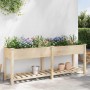 Macetero de Jardín con estante Beige 203,5 x 53 x 76,5 cm en Macetas y jardineras | Comprar online en Foru.es
