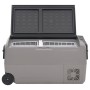 Nevera con ruedas y adaptador PP y PE negro y gris 50 L de vidaXL, Neveras - Ref: Foro24-3154639, Precio: 438,47 €, Descuento: %