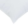 Almohada con almohada 2 pcs 30 x 50 cm Algodón en Ropa de cama | Comprar online en Foru.es