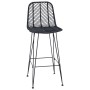 Silla de Bar 2 pcs Negro 44,5 x 53 x 111 cm Ratan e Hierro en Taburetes de cocina | Comprar online en Foru.es